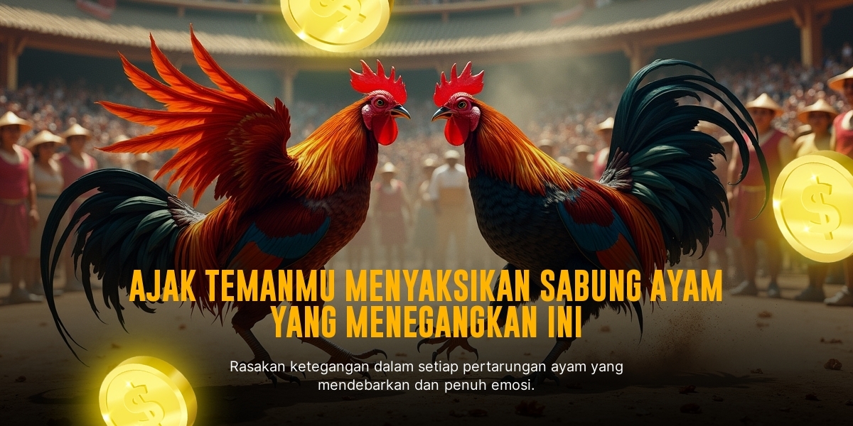 Mengenal Jenis Ayam Aduan dan Odds Terbaik di SV388 Sabung Ayam